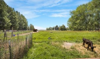 339 W 350 N, Blackfoot, ID 83221