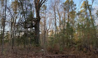 Spann Road, Batesburg Leesville, SC 29006
