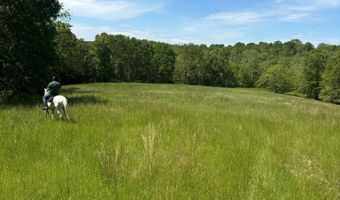 County Road 529, Ava, MO 65608