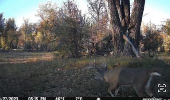TBD County Road 170, Agate, CO 80101