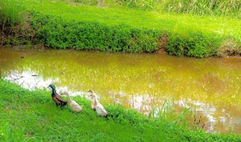 OLOHENA RD Lot #: 3, Kapaa, HI 96746