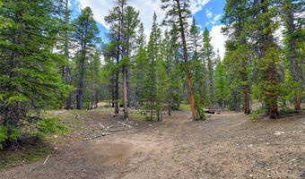 2221 Kootchie Kootchie Rd Lot 0, Alma, CO 80420