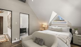 101 E Hallam St, Aspen, CO 81611
