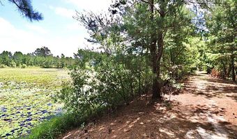 13 89 Ac Lumby Smith & Hwy 37, Adel, GA 31620