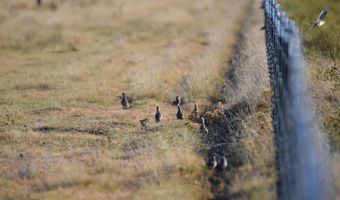 State Highway 214, Adrian, TX 79001