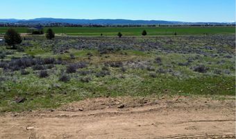 848 County Rd, Adin, CA 96006