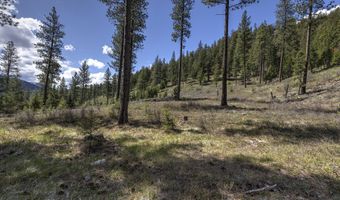 Nhn Mountain Vista Lane, Alberton, MT 59820