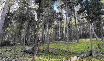 Lot 1283 Via del Rey, Angel Fire, NM 87710