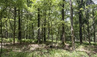 Pine Lodge Road, Batesville, MS 38606