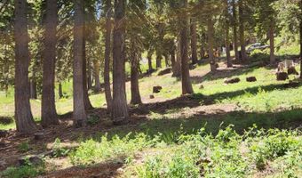 332 Snowshoe Rd, Bear Valley, CA 95223