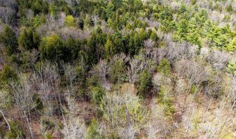 TM 413 L 99 King Road, Alexandria, NH 03222