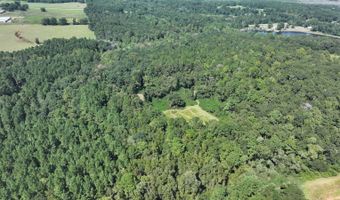 4496 State Hwy 130, Banks, AL 36005