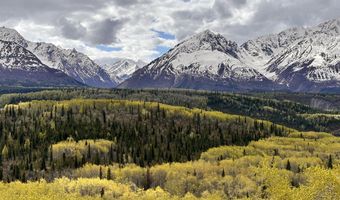 B005 Packsaddle Road, Chickaloon, AK 99674