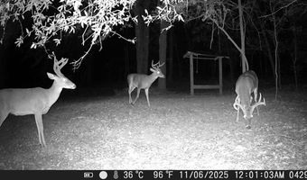 County Road 72, Ariton, AL 36311