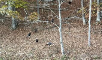 375 Middle Creek Rd, Afton, TN 37616