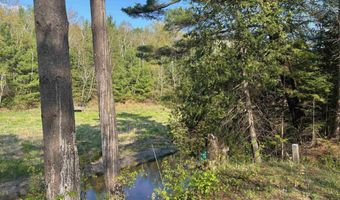 2706 Birchview, Alger, MI 48610