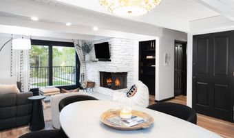 901 E Hyman Ave 4, Aspen, CO 81611