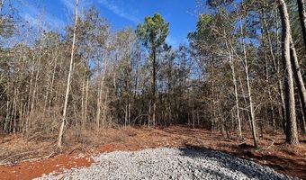 150 Berry Rd, Barnesville, GA 30204