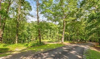 173 Hogan Pond Ln, Ball Ground, GA 30107