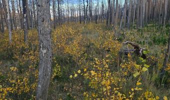 75 Sheep Horn Ct, Bellvue, CO 80512