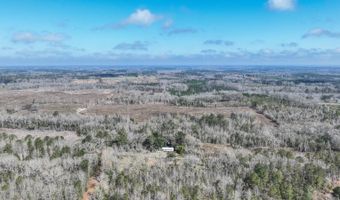 919 County Road 6628, Banks, AL 36005