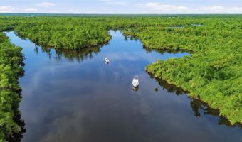 10162 SW LETTUCE LAKE Ave, Arcadia, FL 34269