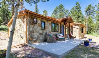 256 Fisk Fenner Rd, Allenspark, CO 80510