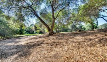 336 Catalpa Ln, Angels Camp, CA 95222