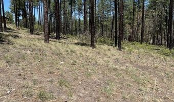 Tbd COUNTY ROAD N2122, Alpine, AZ 85920