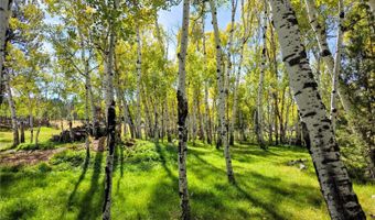 331 Bluebird Ln, Bailey, CO 80421