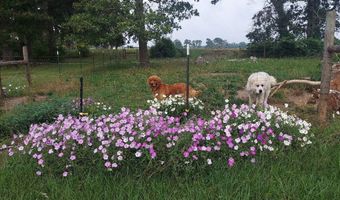 9447 Clarks Mill Rd, Avera, GA 30803