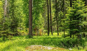 695 Latigo Ln, Bigfork, MT 59911