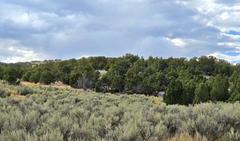 816 Hamilton Stage Rd, Elko, NV 89801