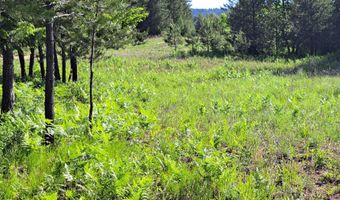Nka Otter Lane, Bonners Ferry, ID 83805