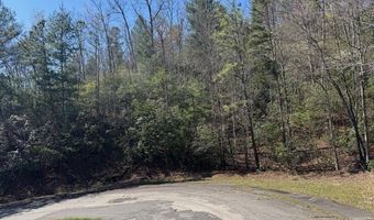 000 Holland Farm Rd, Andrews, NC 28901