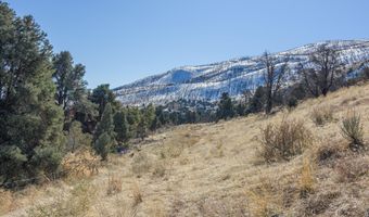 3221 Reese Ln, Gardnerville, NV 89410