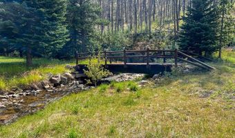 27667 Buckhorn Rd, Bellvue, CO 80512