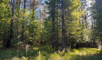 Perry Chapel Road, Ashland, MS 38603