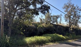 CATAMARAN LN 9, Ocean View, HI 96737
