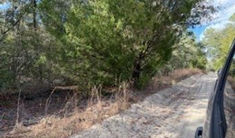 SW 22nd Pl, Bell, FL 32619