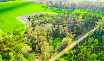 Beaufort Rd. & Warnock Rd, Alma, GA 31510