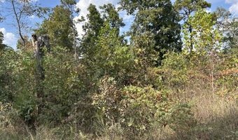 Tbd 7885 County Road 306 Pvt Drive-B, Ava, MO 65608