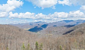 140 Wild Mountain Ln, Barnardsville, NC 28709