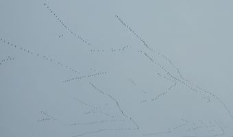 4775 S 50th Rd, Aldrich, MO 65601