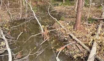 Chalk Level Rd lot 1, Alberta, VA 23821