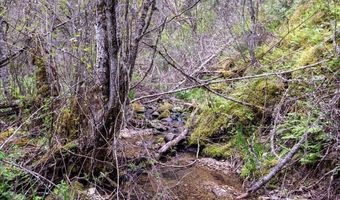 NNA N Corbin Hill Rd, Athol, ID 83801