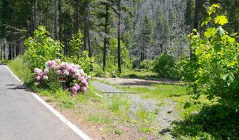 91303 BLUE RIVER Rd, Blue River, OR 97413