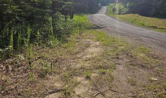 0 CO RD 3973, Arley, AL 35541
