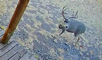 47140 Hwy 118, Alpine, TX 79830