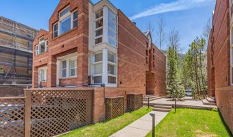 708 E Hyman Ave, Aspen, CO 81611